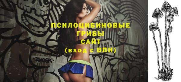дживик Горняк