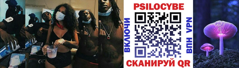 Купить  Михайлов  Галлюциногенные грибы Psilocybe 